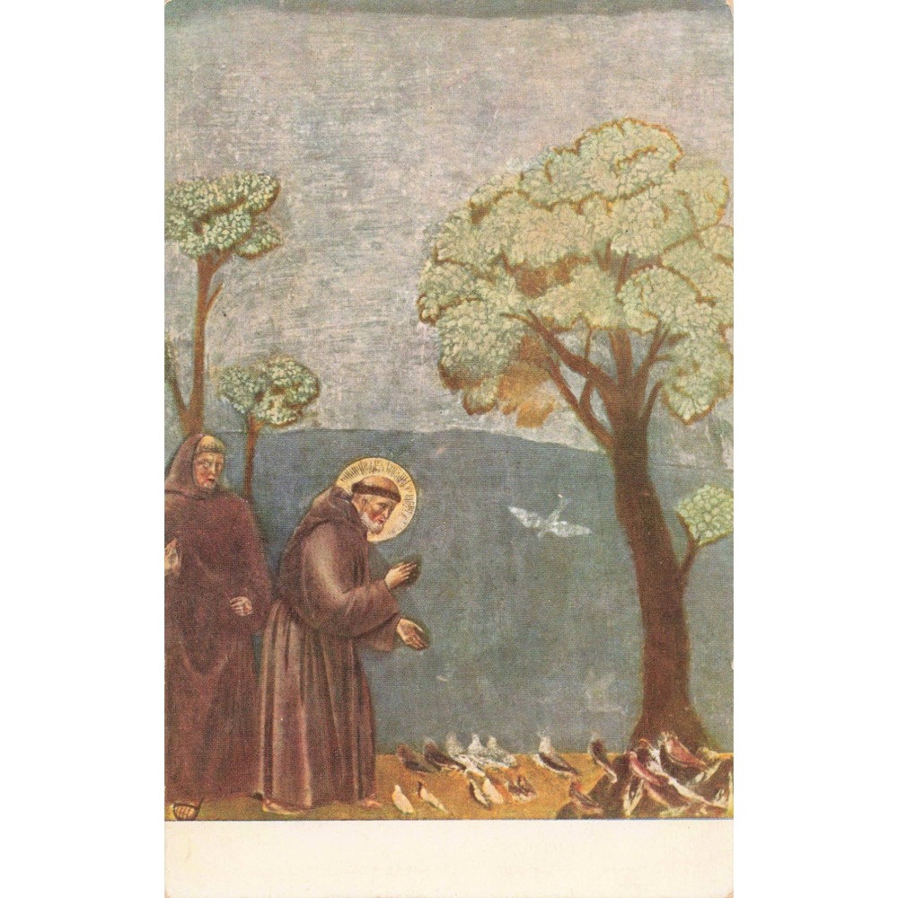Assisi Italy St Francis Preaching to Birds Giotto Fresco Art Vtg Postcard Sorman - Picture 1 of 2